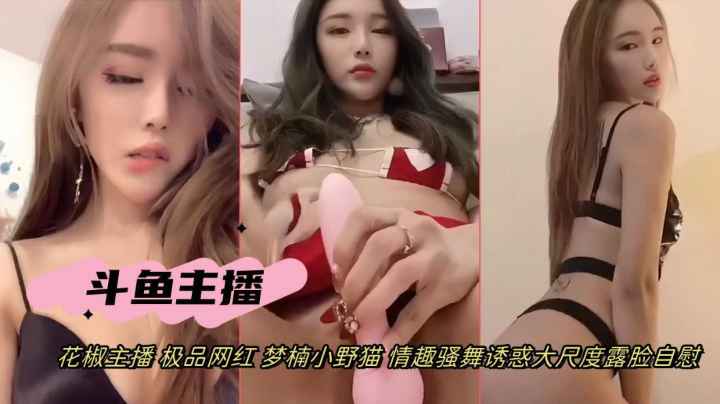 抖音网红女主播梦楠小野猫情趣骚舞道具自慰诱惑露脸